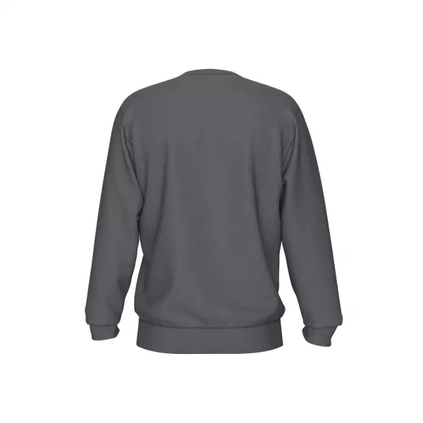 Світшот Arena CREW SWEAT VINTAGE